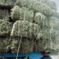 پرس یونجه درجه یک