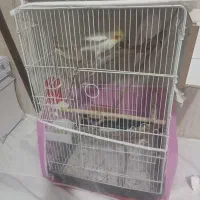 قفس بزرگ