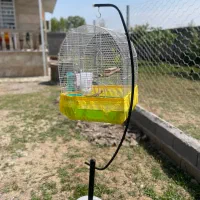 پایه و قفس پرنده