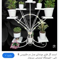 ادمین پیج اینستاگرام