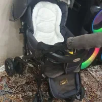 کالسکه مدل دلیجان|کالسکه و لوازم جانبی|سبزوار, شرق کال عیدگاه|دیوار