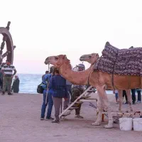 گشت جزیره زیبای کیش با خودرو شخصی|تور و چارتر|کیش, |دیوار