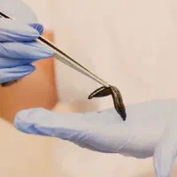 مرکز طب سنتی و پوست دکتر آذین اسکندری|خدمات آرایشگری و زیبایی|دوگنبدان, |دیوار