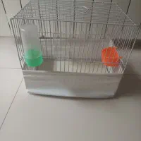 قفس پرنده سایز ۳۰ در ۴۰|لوازم جانبی حیوانات|مشهد, امام خمینی|دیوار