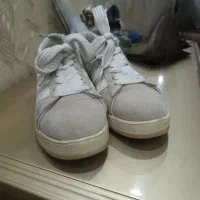 کتونی|کیف، کفش، کمربند|رباط‌کریم, رباط‌کریم|دیوار