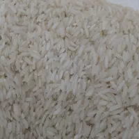 فروش برنج هاشمی