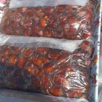 خرما برحی درجه یک وامسالی