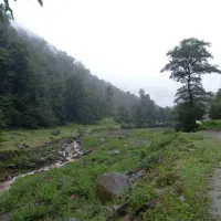 اجاره سوییت|اجارهٔ کوتاهمدت آپارتمان و سوئیت|زیرآب, |دیوار