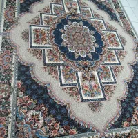 نادرون طوسی و فیلی ۲۵۵۰ تراکم ۱۰۰٪ نخ