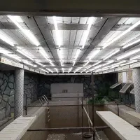 برقکاری ساختمان و صنعتی رفع عیب یابی و اتصالی