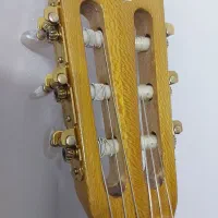 گیتار|گیتار، بیس، امپلیفایر|مشهد, الهیه|دیوار