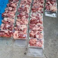 گوسفند زنده جایگاه بهداشتی دام
