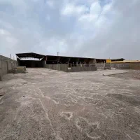 فروش-دامداری-متراژ-2000-متر