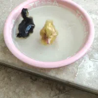 جفت اردک ۲۰۰