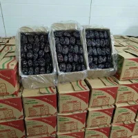 خرما|حراج|رفسنجان, |دیوار