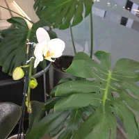 حسابدار با تجربه