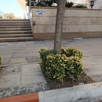 فروش سیم کارت همراه اول 09122144157