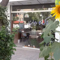 فروش زمین/دو نبش/خیابان بیست متری