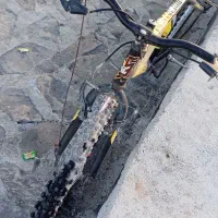 دوچرخه 24|دوچرخه، اسکیت، اسکوتر|سراوان, |دیوار