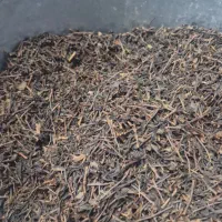 بازی تست ای|اسباببازی بچه|قزوین, |دیوار