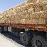 خار، کاه، پرس|لوازم جانبی حیوانات|مشهد, شهرک شهید باهنر|دیوار