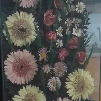 گل زیبا