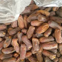 خرمایی درجه یک 1تن نیم و خرمایی درجه دو2تن|خوردنی و آشامیدنی|حاجی آباد, |دیوار