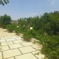 باغچه شخصی معاوضه و فروش فهمیده مهرویلا  شمال و ..