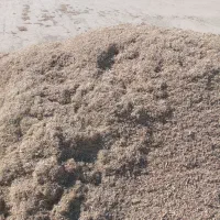 کاه لوبیاچیتی و سفیدفروشی