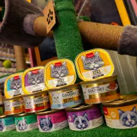 گورمت ویسکاس دستمال مرطوب دندونی ظرف قلاده تشویقی