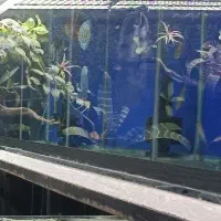 واحد ۱۲۰ متری  بر بلوار عباسپور