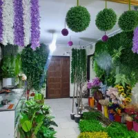 گل نرگس داودی عروس رز برگ آفتاب گردان قرنفل