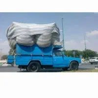 کاه|لوازم جانبی حیوانات|مبارکه, |دیوار