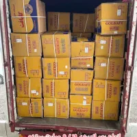 انواع پتو شادیلون و ژالهای و پتو شب نما کبریتی|رختخواب، بالش، پتو|مشهد, شهرک رازی (شهرک غرب)|دیوار
