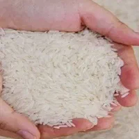 برنج هاشمی درجه یک گیلان