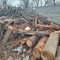 چوبری وخرید انواع چوب