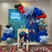 تم تولد سونیک