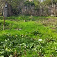 زمین ۲۰۰ متری خوش قیمت