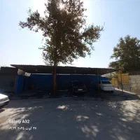 کارواش کار حرفه ای