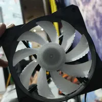 فن کیس گرین