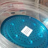 بخارپز نوعه نوع|اجاق گاز و لوازم برقی پختوپز|قرچک, محمد آباد|دیوار