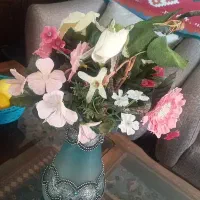 یک جفت پشتی|پشتی|پرند, فاز ۴|دیوار