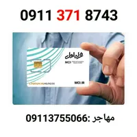 09113718743