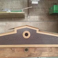 لوازم آکواریوم و پرنده