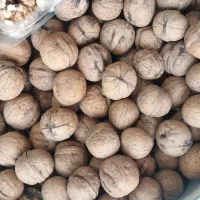 ارائه گردو و محصولات ترش شیرین|خوردنی و آشامیدنی|تهران, خاک سفید|دیوار