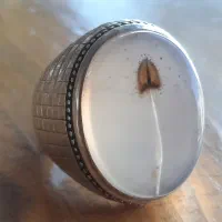 انگشتر شجر افغان