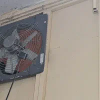 وسایل مرغ فروشی|فروشگاه و مغازه|سراوان, |دیوار