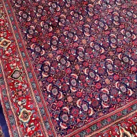 فرش‌قهرمانی ۱۲ متری دستبافت ماهی سراسر|فرش|اراک, |دیوار