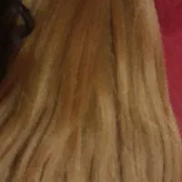 موبرای سالن