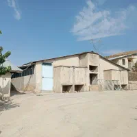 مرغداری گوشتی استان تهران